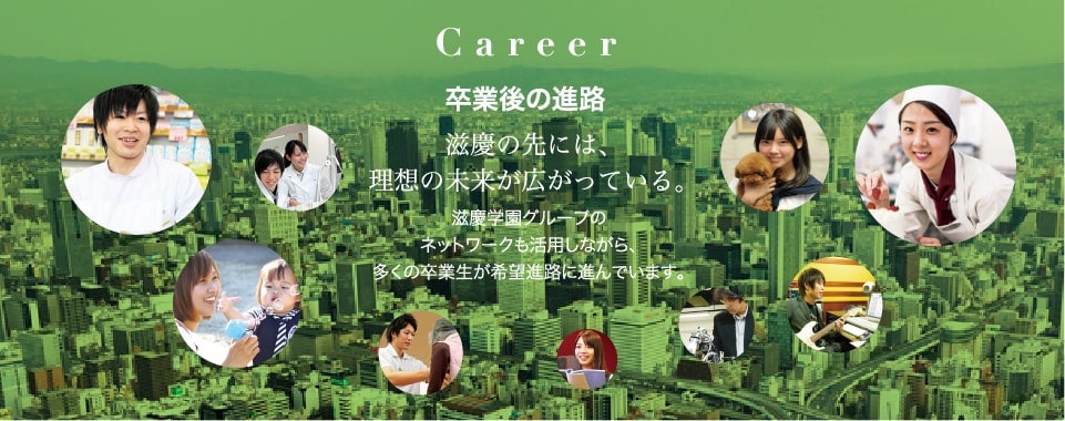 Career