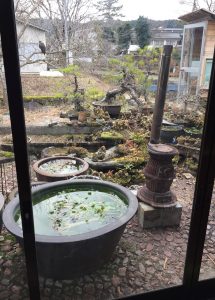 たけぞう茶屋のお庭