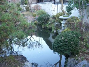 難波邸の庭園