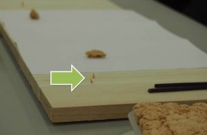 艾を丸めて米粒大にし、板の上に立てていく