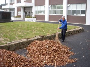 滋慶学園高等学校の落ち葉掃除