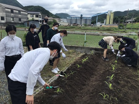 苗を植えて完成