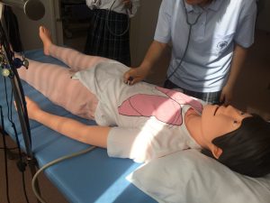 聴診器で腸や肺、心臓の音を聞く