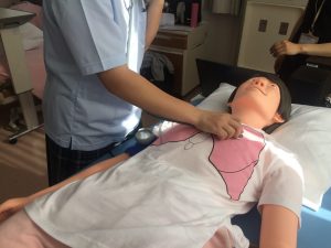 聴診器で腸や肺、心臓の音を聞く