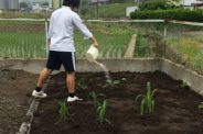 菜園作りにチャレンジ！part2