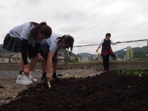 チャレンジ講座 菜園作りの様子