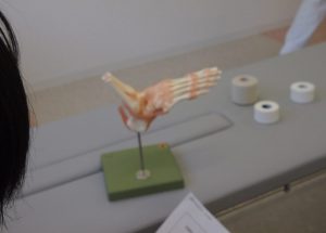 体の内部が眼に見える