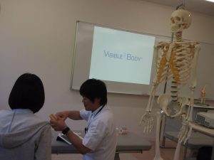 VISIBLE BODY