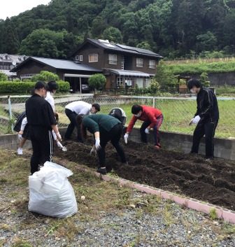 苗を植えるための畝を作り