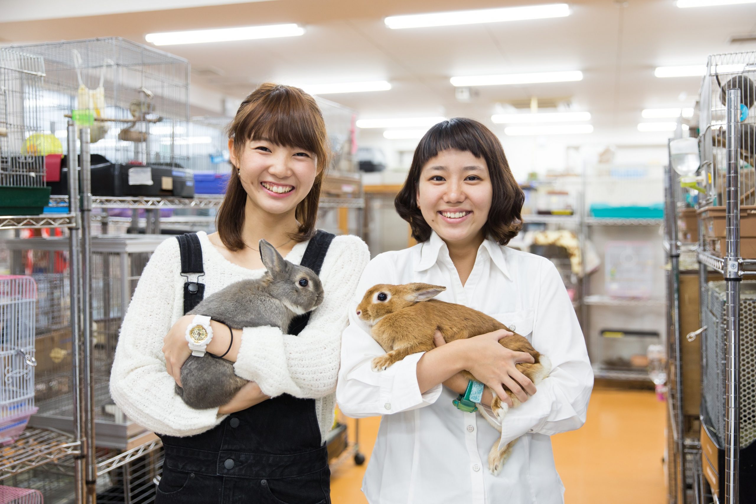 動物飼育体験