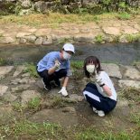 クリーン作戦に参加しました