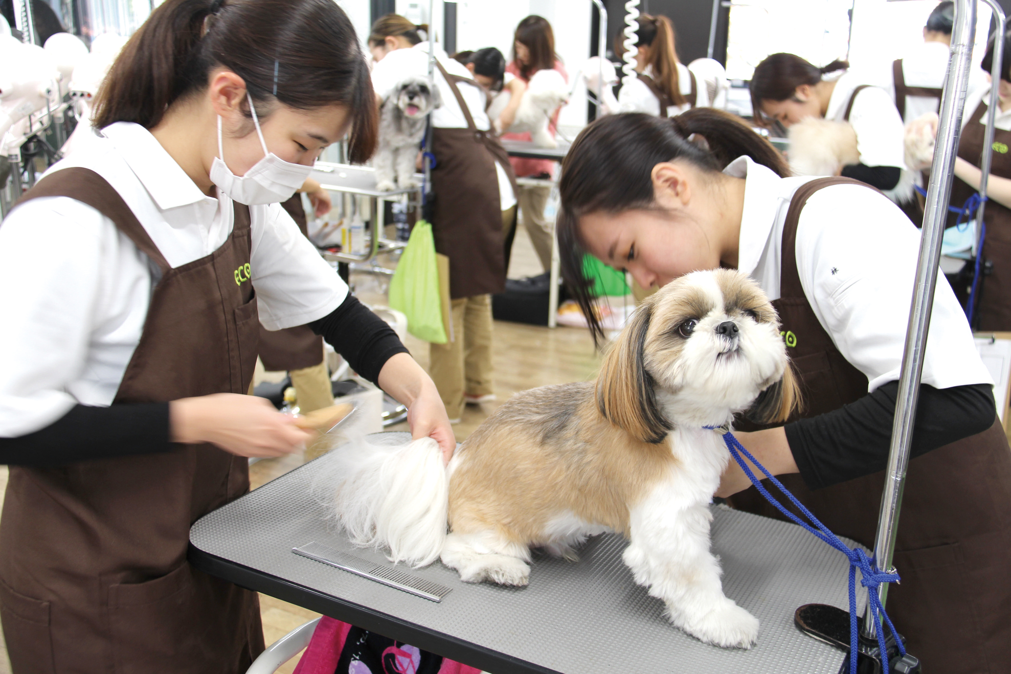 【動物】動物園飼育体験