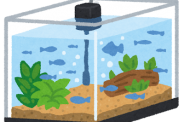熱帯魚から学んだ「生物」のこと