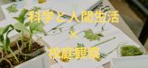 科学と人間生活：植物の観察活動