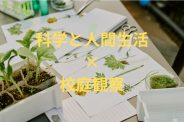 科学と人間生活：植物の観察活動