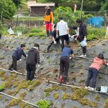 【地域貢献活動】芝桜公園内の植栽活動をしました