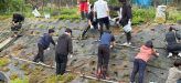 【地域貢献活動】芝桜公園内の植栽活動をしました