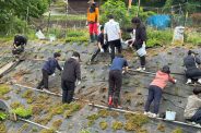 【地域貢献活動】芝桜公園内の植栽活動をしました