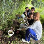 【ボランティア活動】地域の自然を未来につなぐ 山アジサイの移植活動を行いました