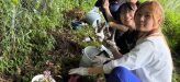 【ボランティア活動】地域の自然を未来につなぐ 山アジサイの移植活動を行いました
