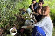 【ボランティア活動】地域の自然を未来につなぐ 山アジサイの移植活動を行いました